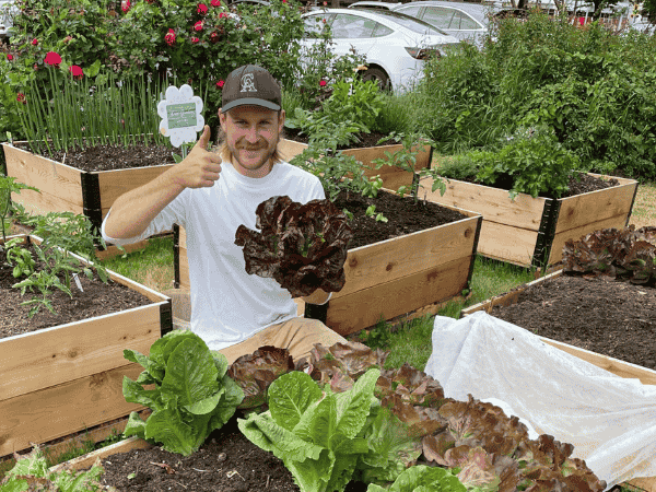 Tomas Burns is holding a head of lettuce from the garden and signing thumbs up.