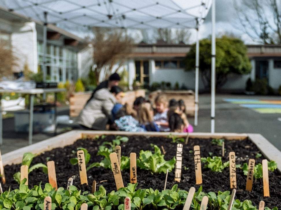Garden box with markers in it, class of children in the background.